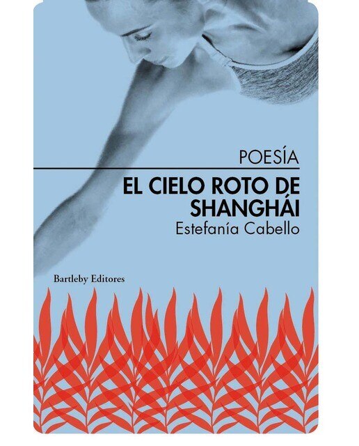 Imagen 0 de El cielo roto de shanghai