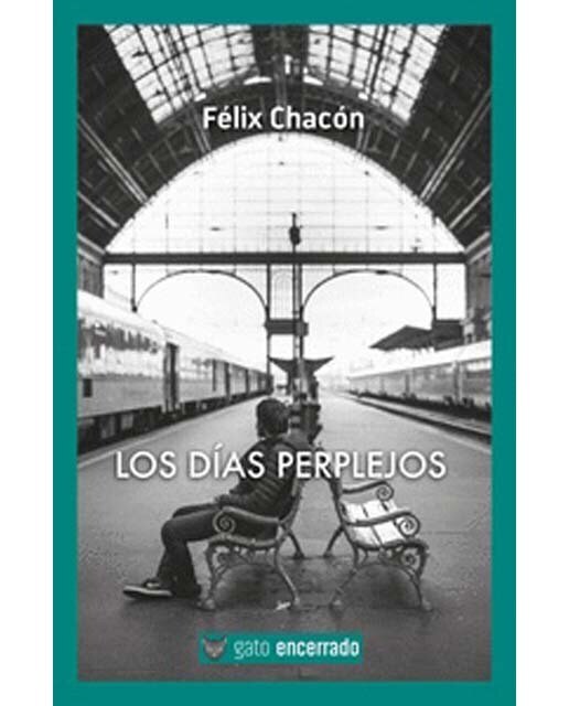 Imagen 0 de Los días perplejos  (Tapa blanda con solapas)