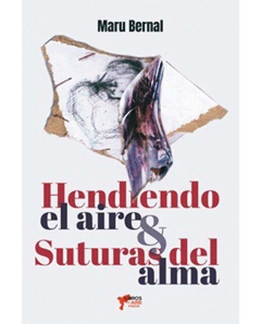 Imagen 0 de Hendiendo el aire suturas del alma