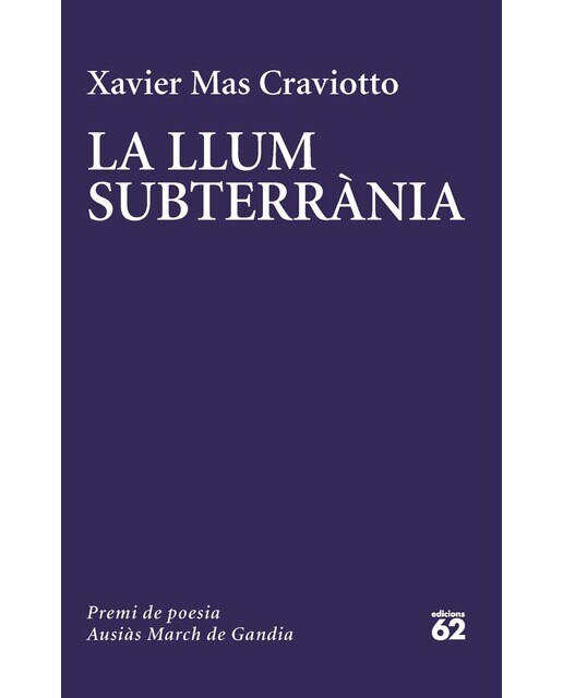 Imagen 0 de La llum subterrània (Tapa blanda con solapas)