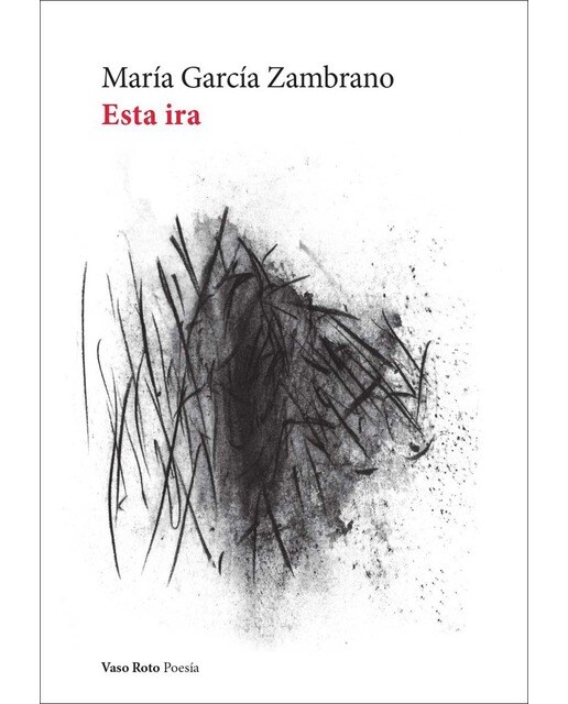 Imagen 0 de Esta ira (Tapa blanda)
