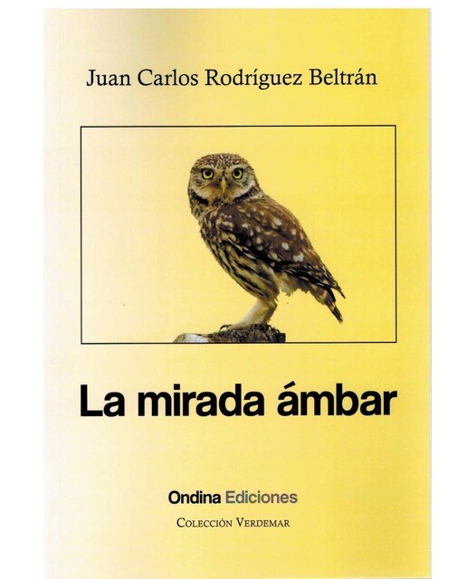 LA MIRADA ÁMBAR