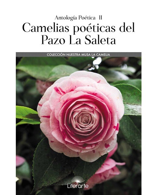 Imagen 0 de Camelias poéticas del Pazo La Saleta