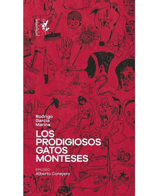 Los prodigiosos gatos monteses (Capa mole) 1