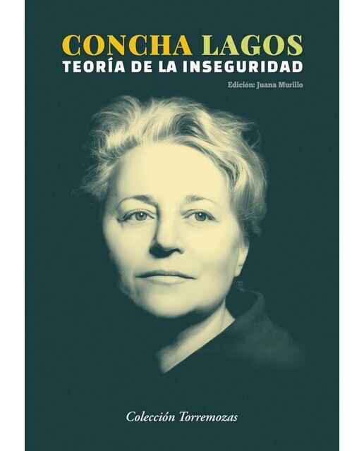 Imagen 0 de Teoría de la inseguridad  (Tapa blanda con solapas)