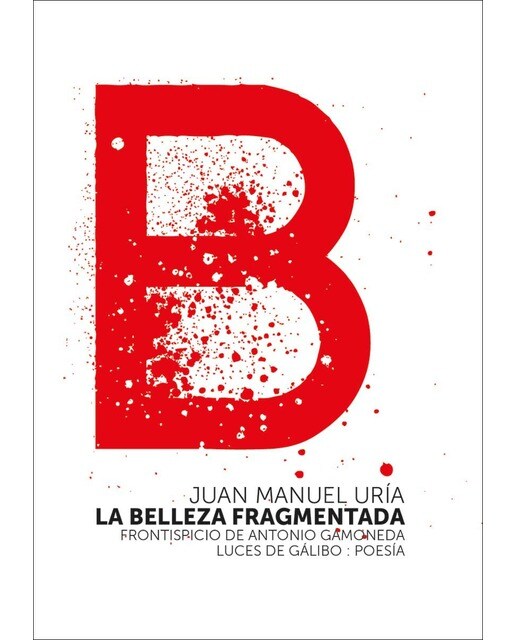 Imagen 0 de La belleza fragmentada