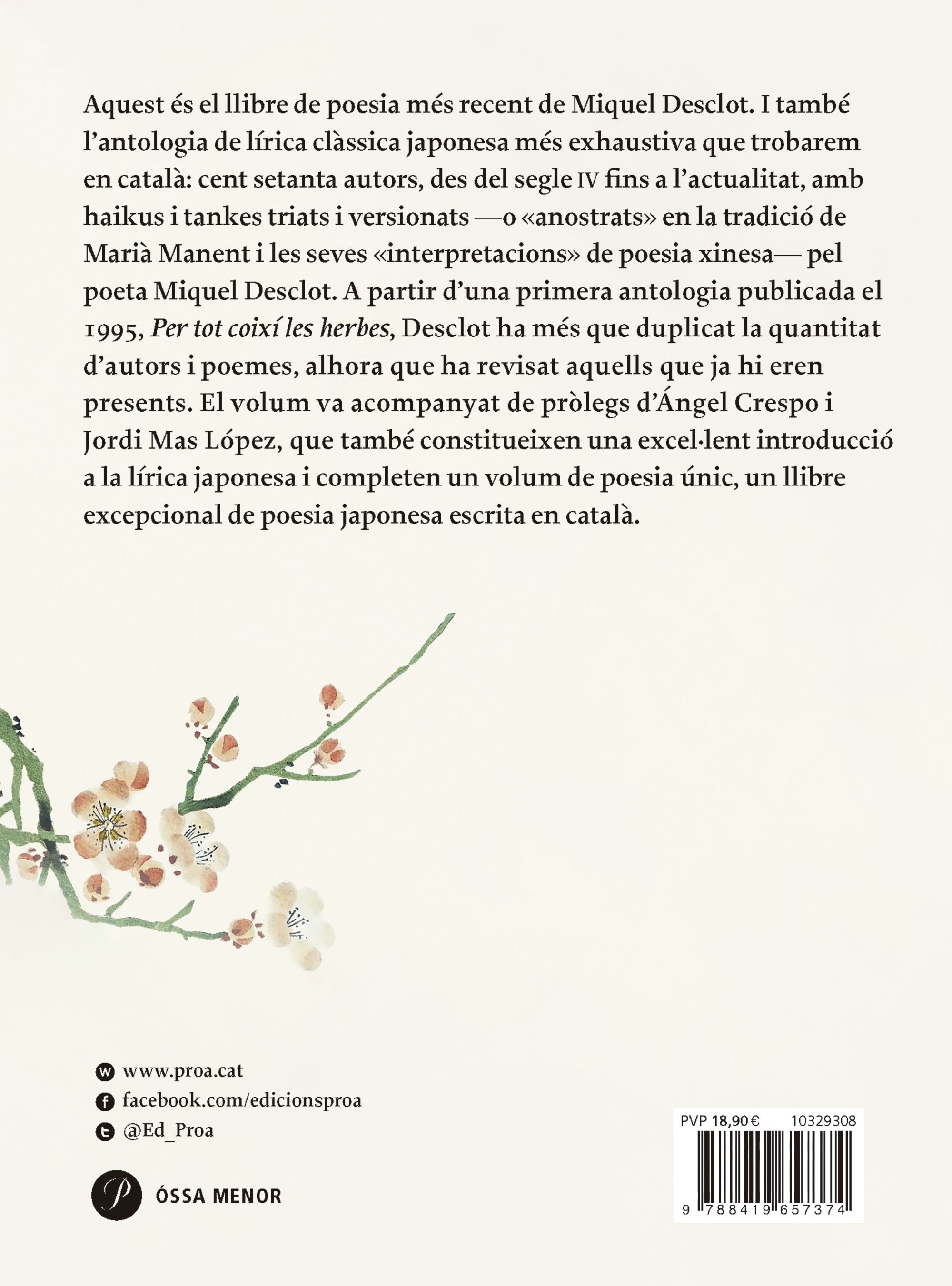 En coixí d'herba (Tapa dura) 2