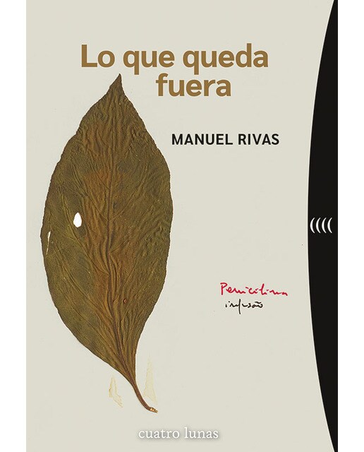 Lo que queda fuera