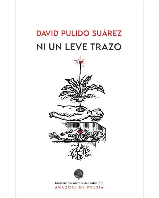 Ni un leve trazo  (Tapa blanda con solapas) 1
