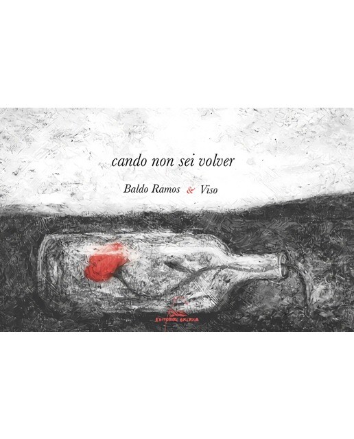 Cando non sei volver (Capa mole) 1