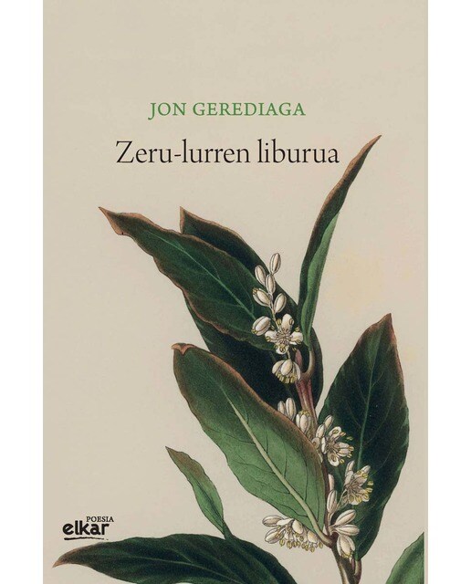 Imagen 0 de Zeru-lurren liburua (Irun hiria poesia)  (Tapa blanda)