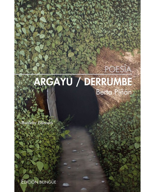 Imagen 1 de Argayu/derrumbe