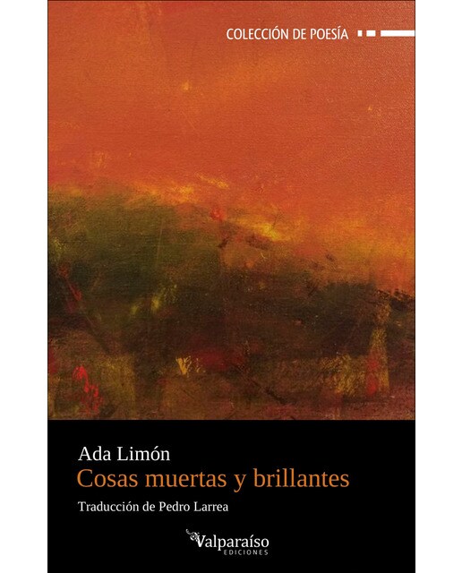 Cosas muertas y brillantes (Capa mole com abas) 1