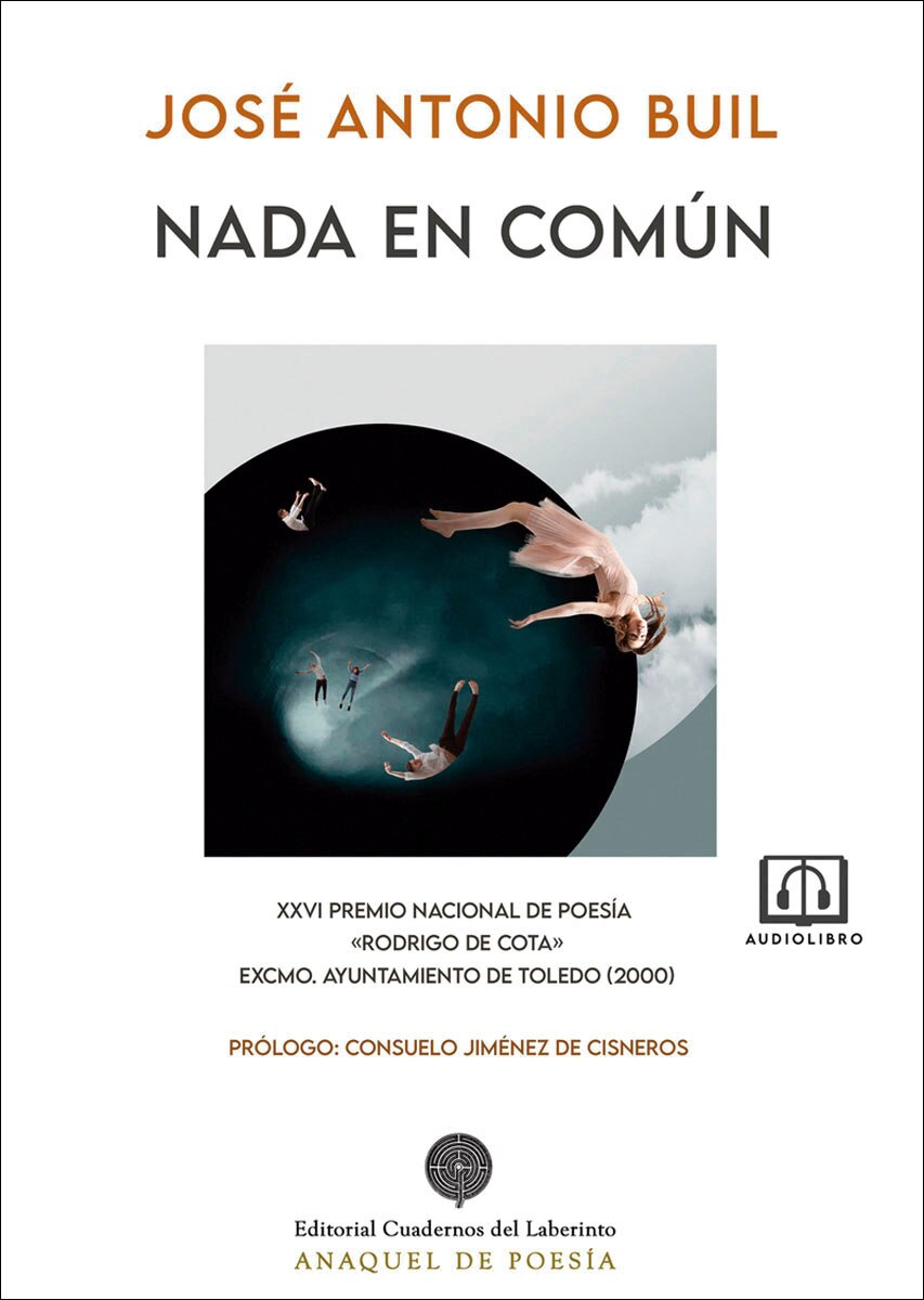 Imagem 0 de Nada en común (Capa mole)