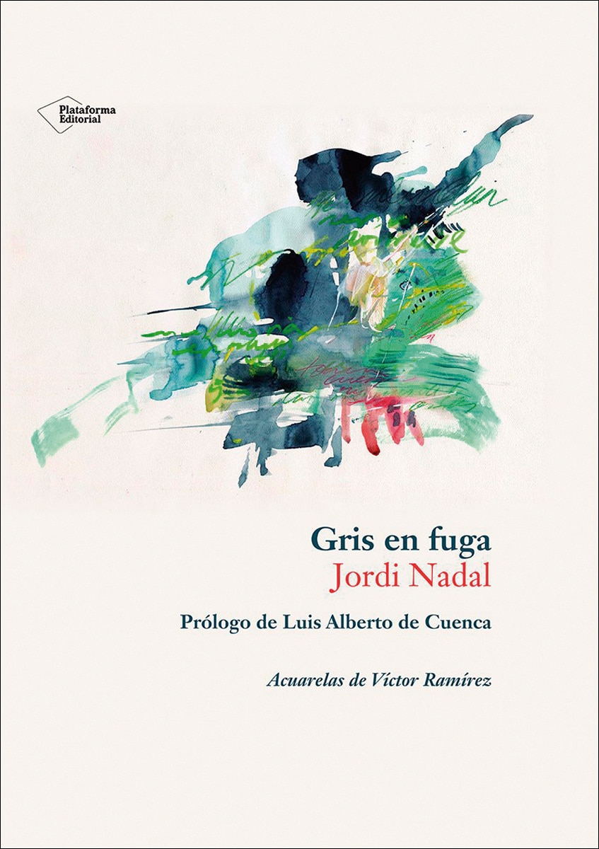 Imagen 0 de Gris en fuga  (Tapa blanda con solapas)