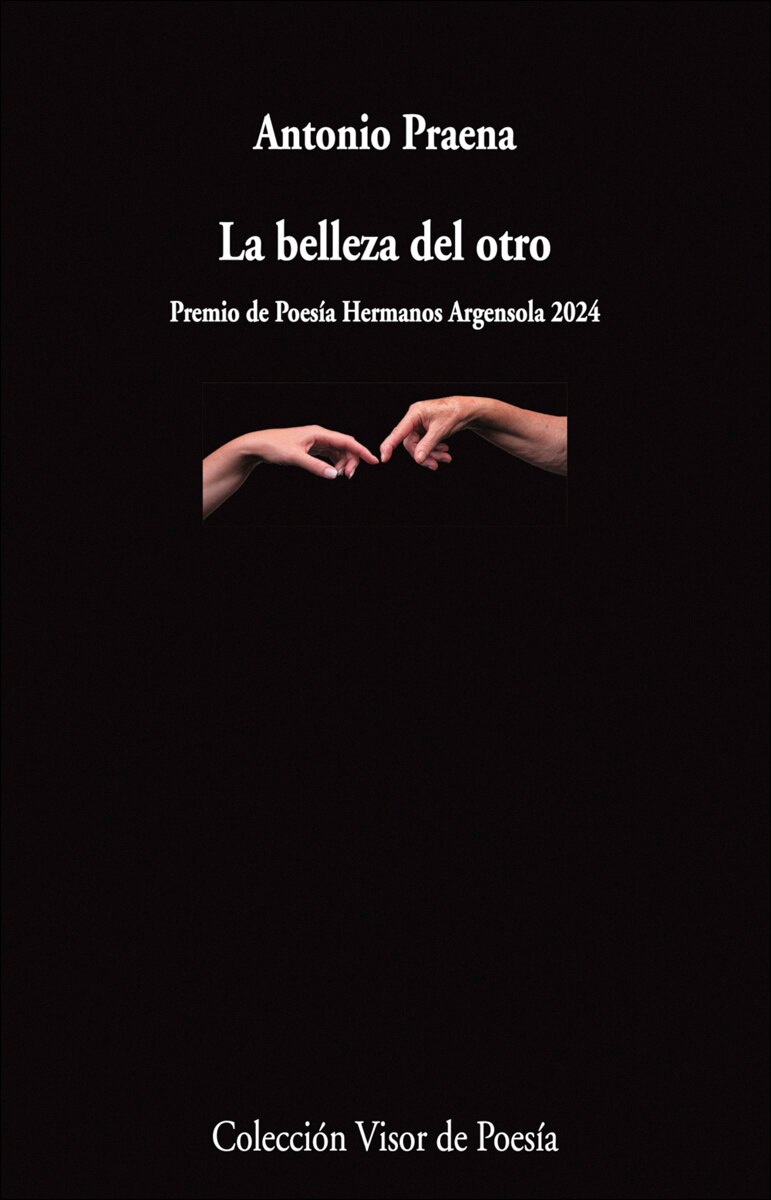 Imagen 0 de La belleza del otro (Tapa blanda con solapas)