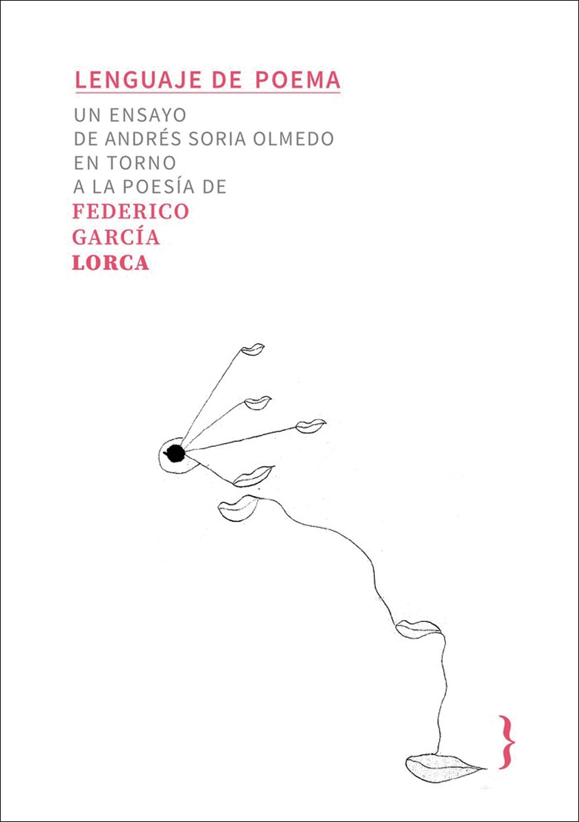Imagen 0 de LENGUAJE DE POEMA: FEDERICO GARCÍA LORCA
