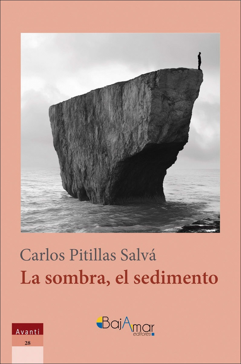 Imagen 0 de La sombra el sedimento