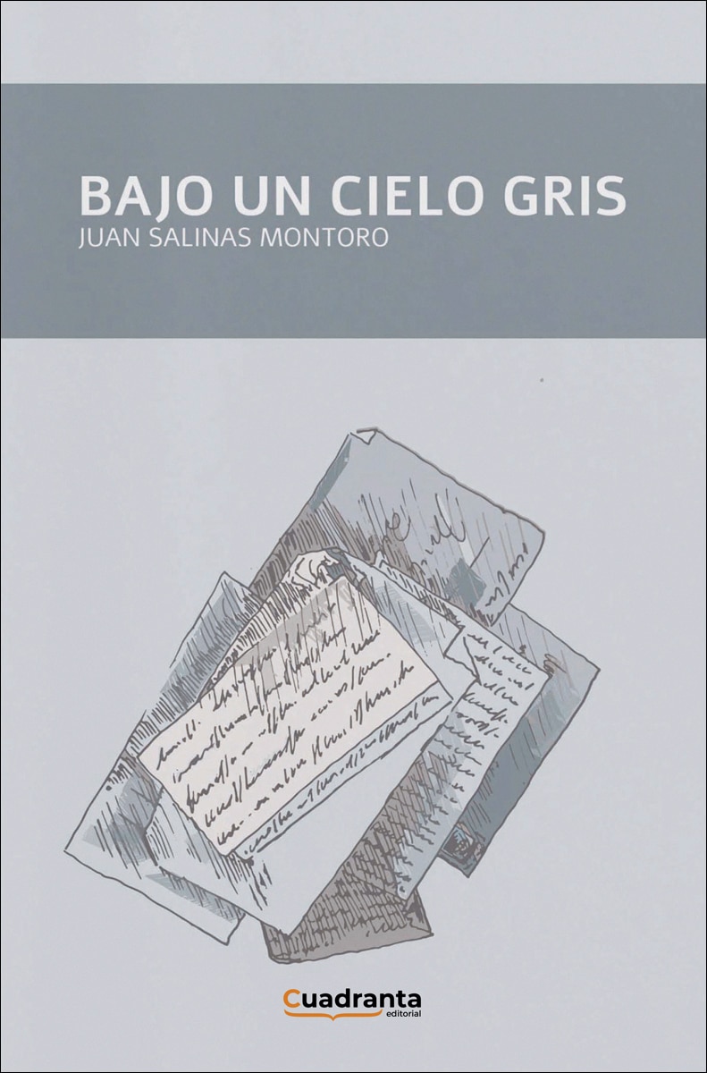 Imagen 0 de Bajo un cielo gris (Tapa blanda)