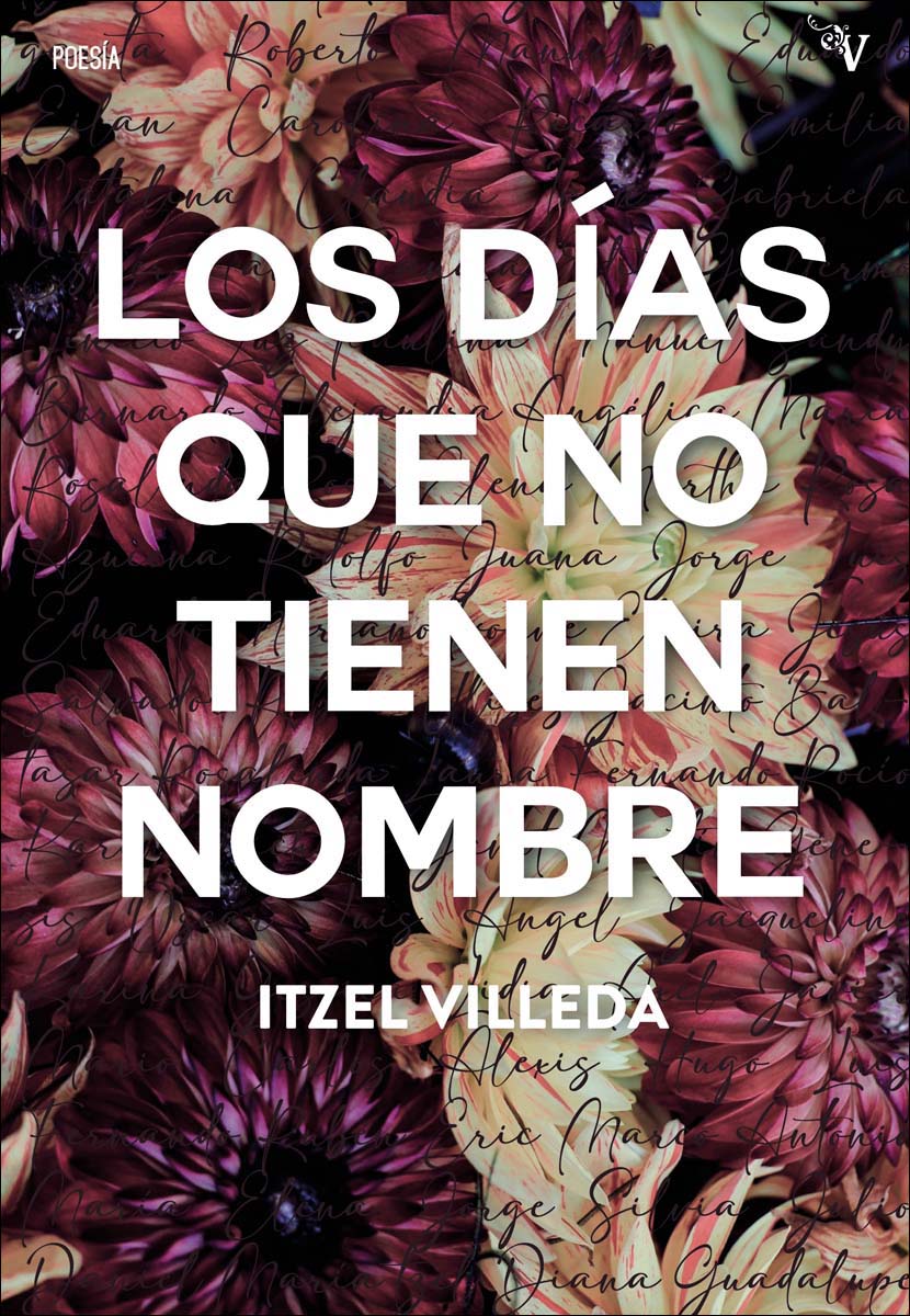 Los días que no tienen nombre (Capa mole com abas) 1