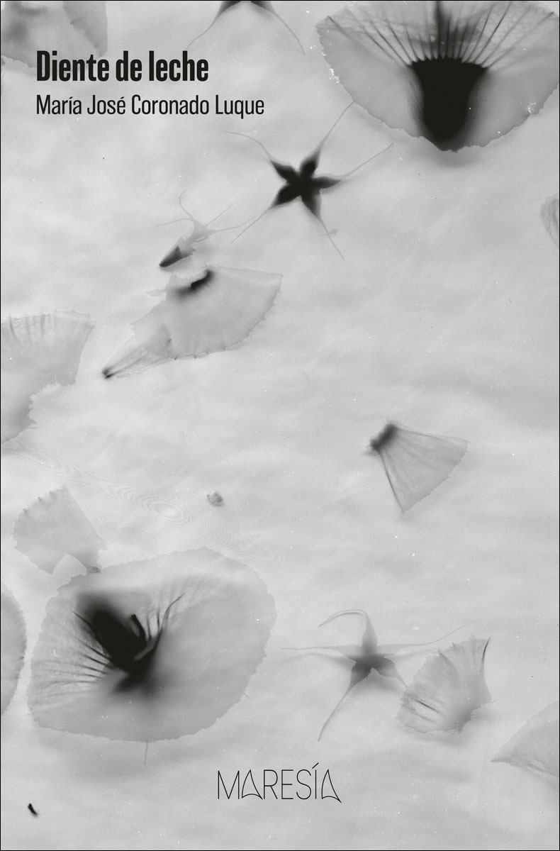 Imagem 0 de Diente de leche