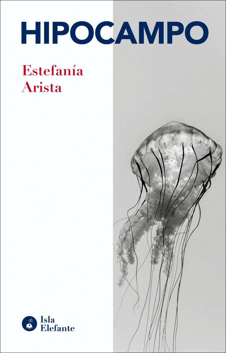 Imagem 0 de Hipocampo