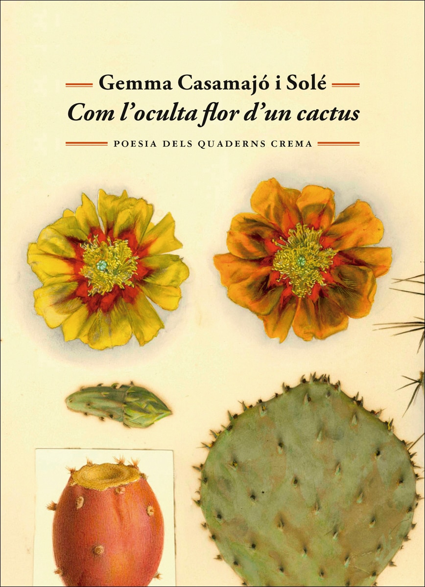 Imagem 0 de Com l'oculta flor d'un cactus