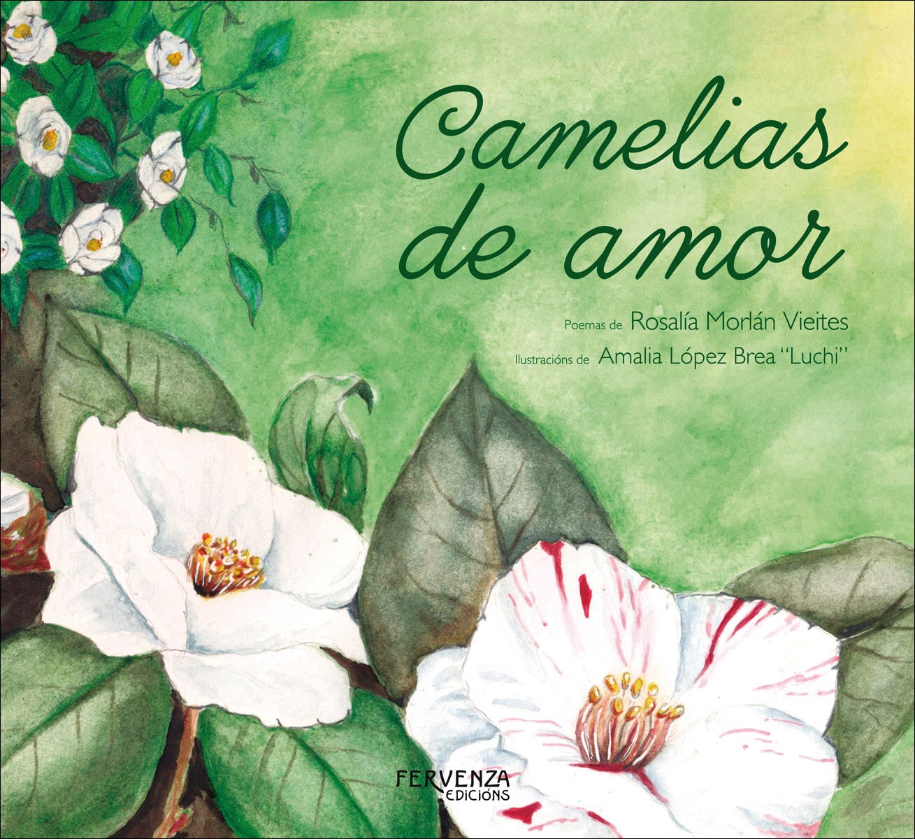 Camelias de amor (Capa dura) 1