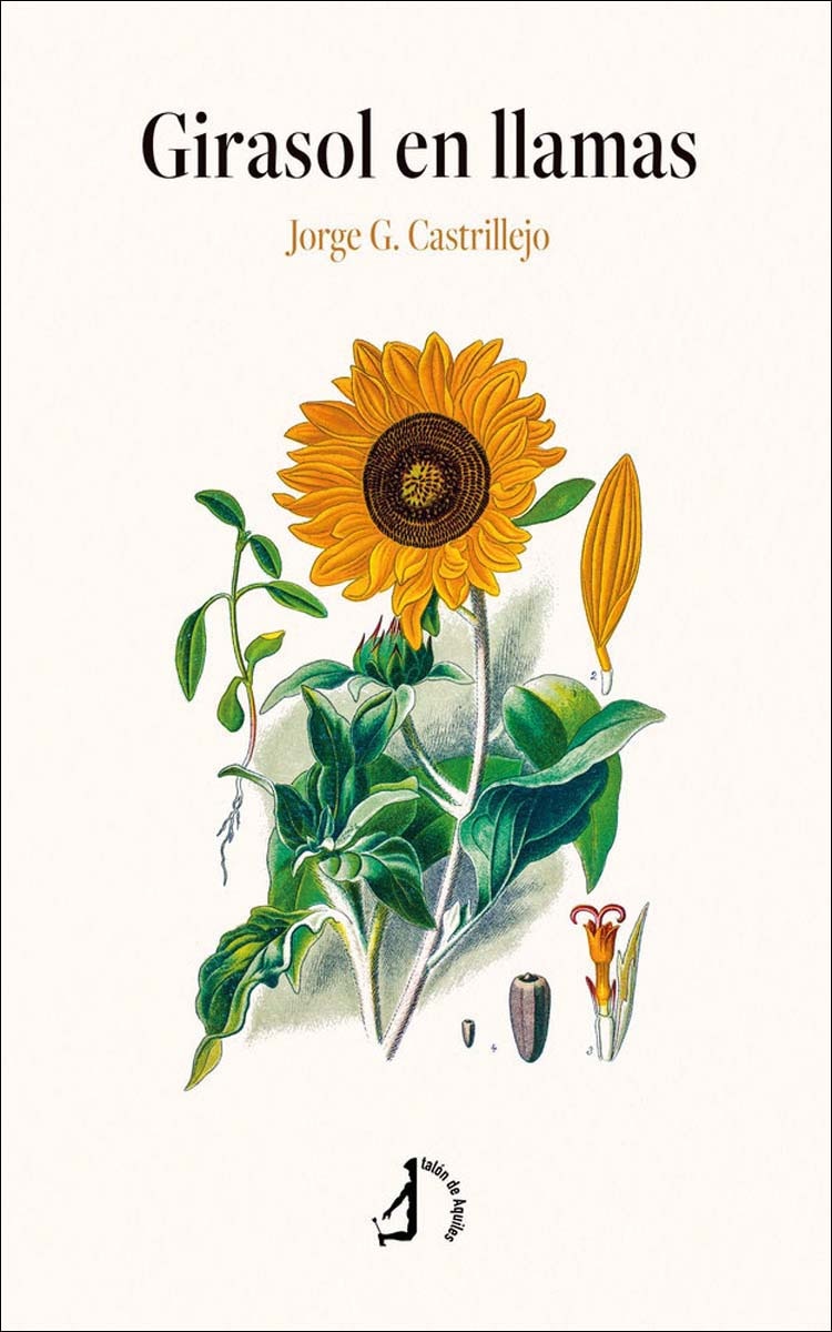 Girasol en llamas 1