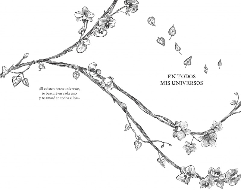 En todos mis universos (Capa dura) 15