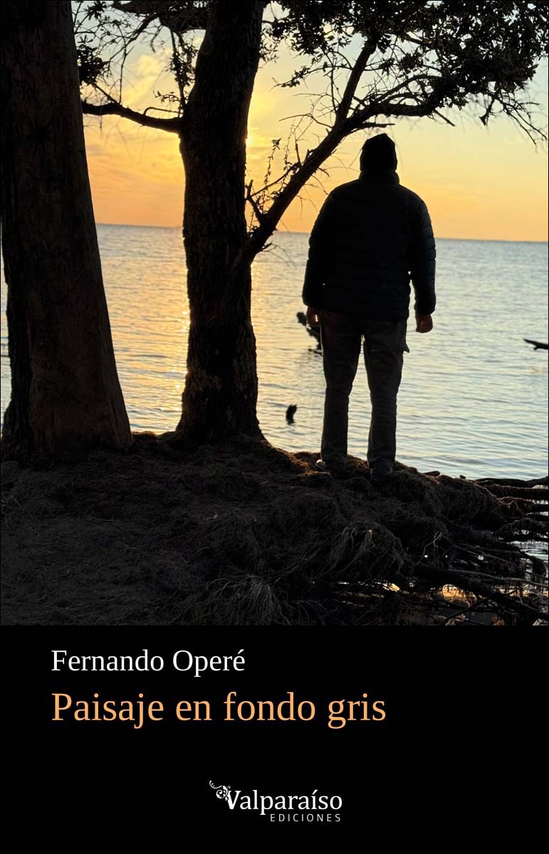 Paisaje en fondo gris (Capa mole com abas) 1