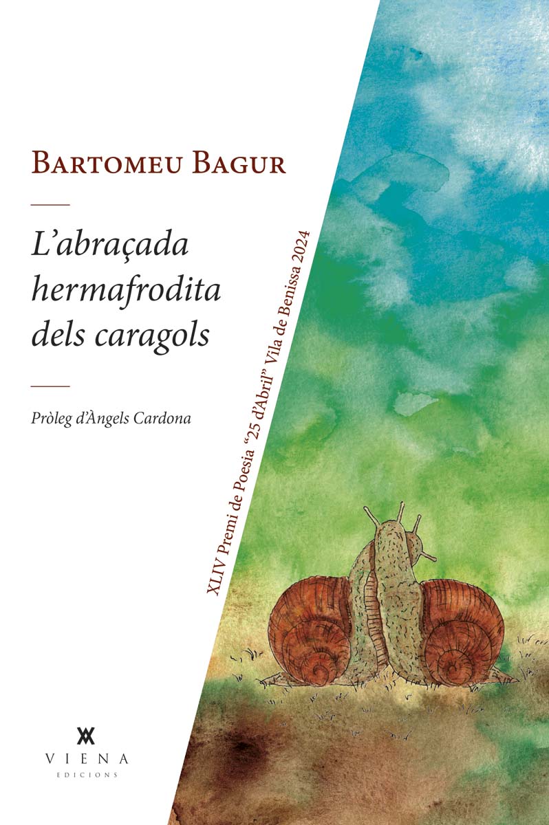 L'abraçada hermafrodita dels caragols (Capa mole com abas) 1