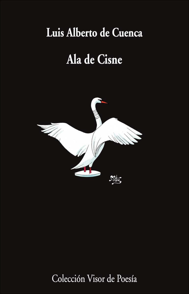 Ala de Cisne (Capa mole com abas) 1