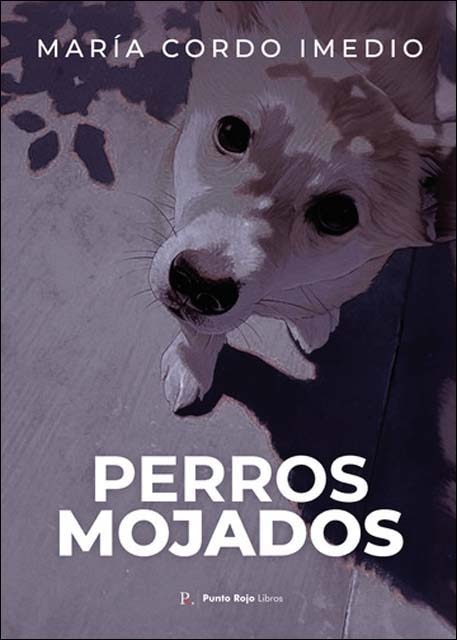 Perros mojados 1