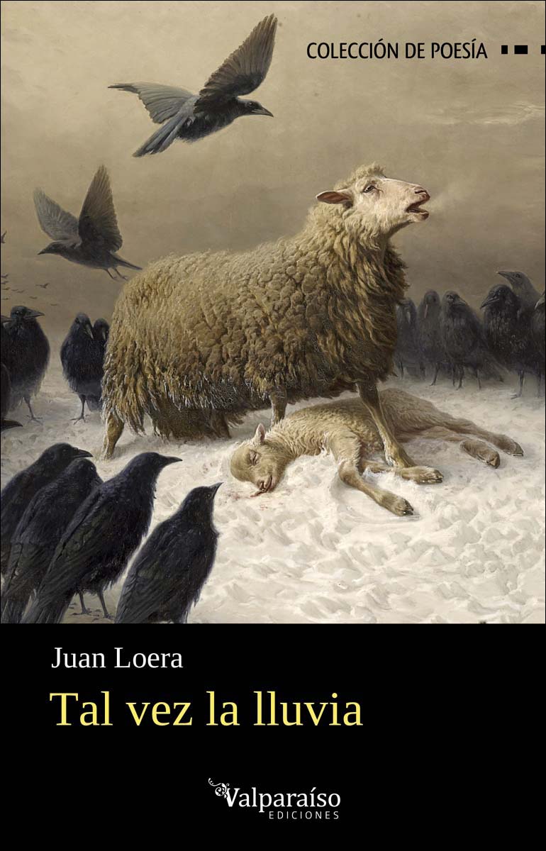 Tal vez la lluvia (Capa mole com abas) 1