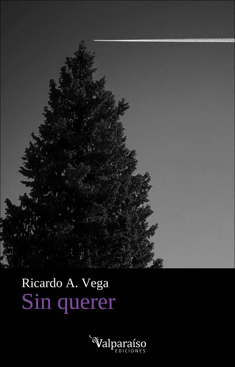 Sin querer (Capa mole) 1