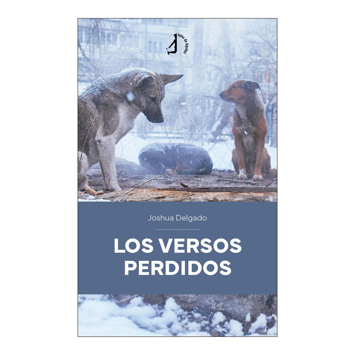 Los versos perdidos 1