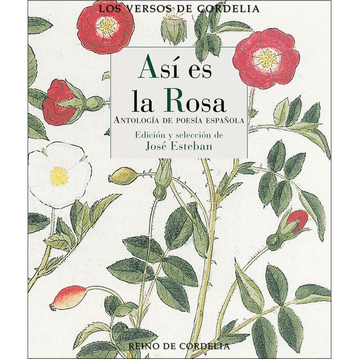 Así es la rosa: Antología de poesía española (Capa mole) 1