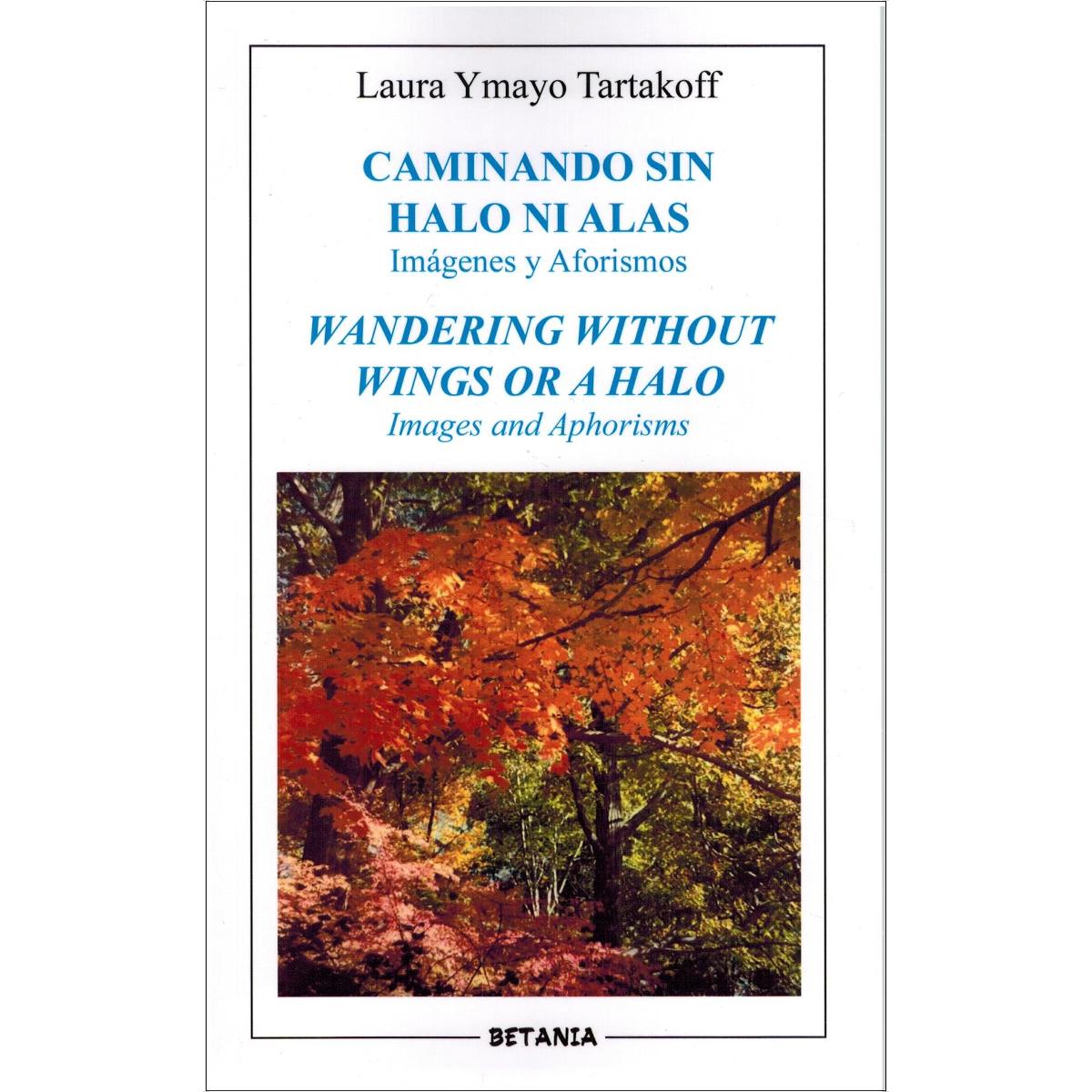 Imagem 0 de Caminando sin halo ni alas.Imágenes y aforísmos