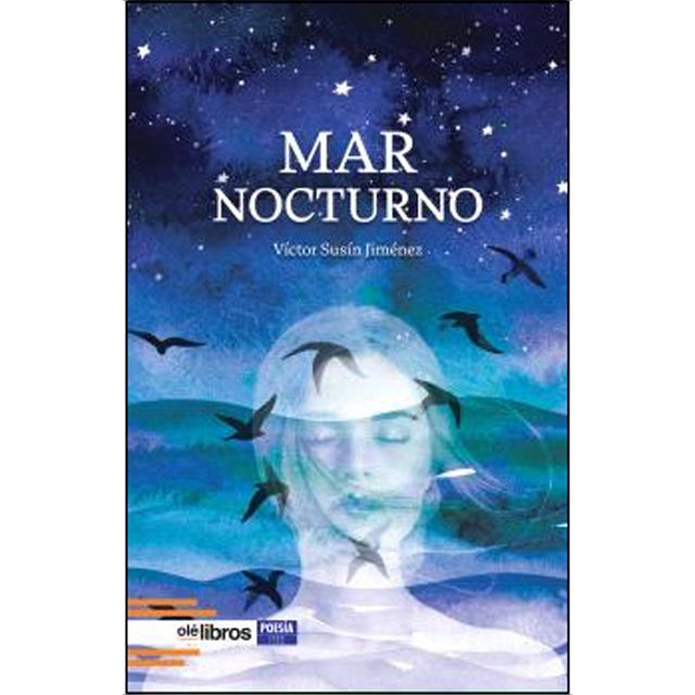 Mar nocturno 1
