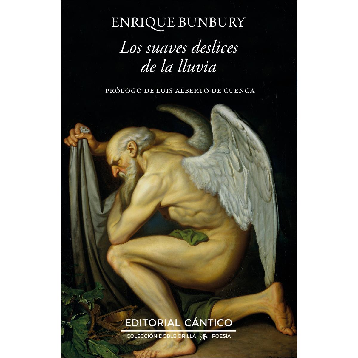 Imagem 0 de Los suaves deslices de la lluvia (Capa mole)