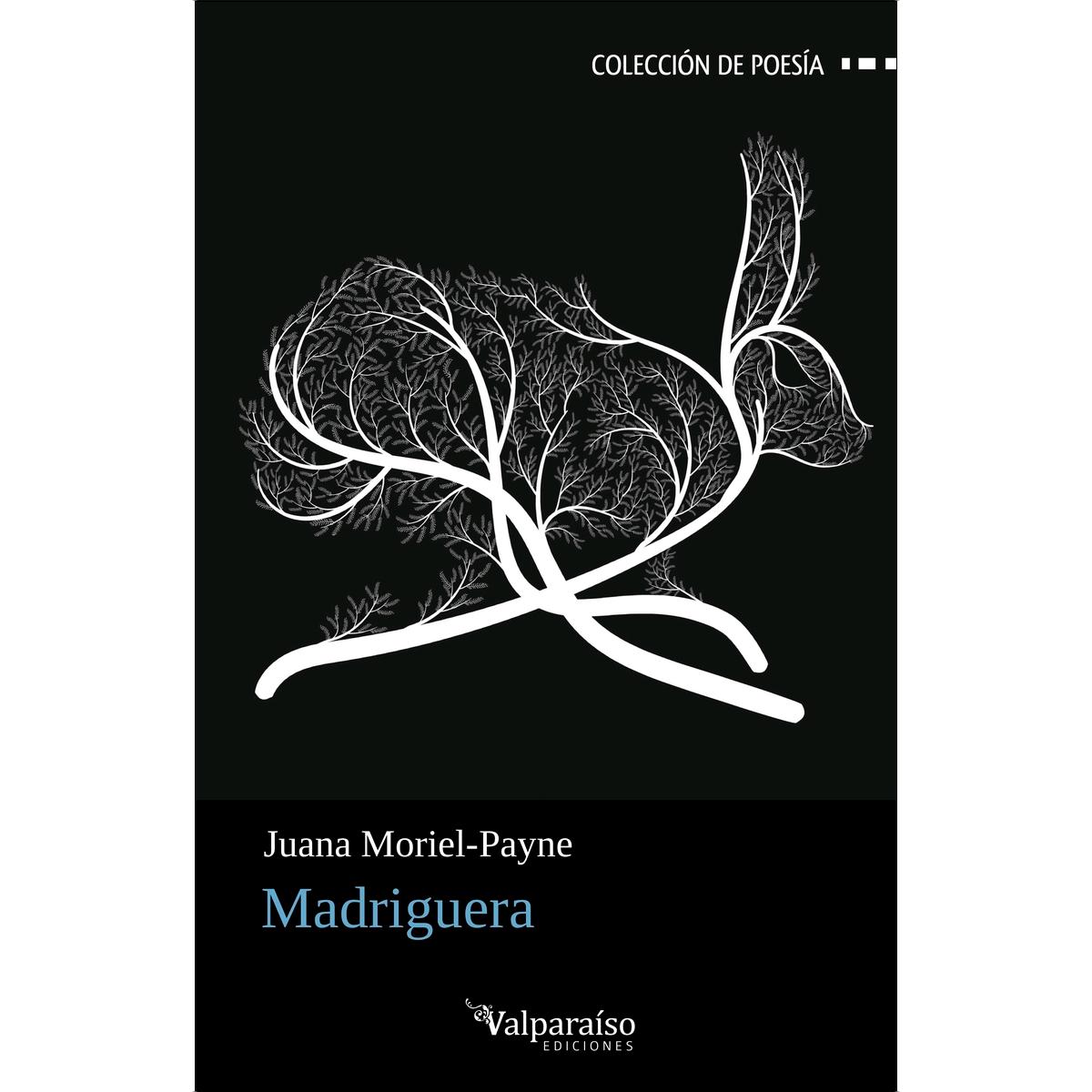Madriguera (Capa mole com abas) 1