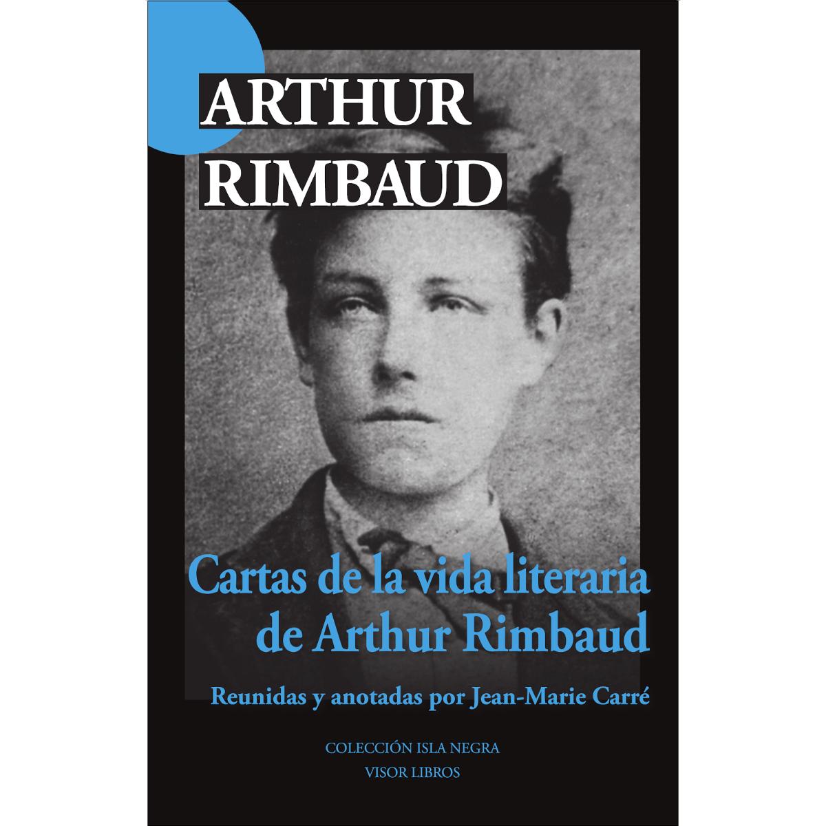 Imagem 0 de Cartas de la vida literaria: Reunidas y anotadas por Jean-Marie Carré (Capa mole com abas)