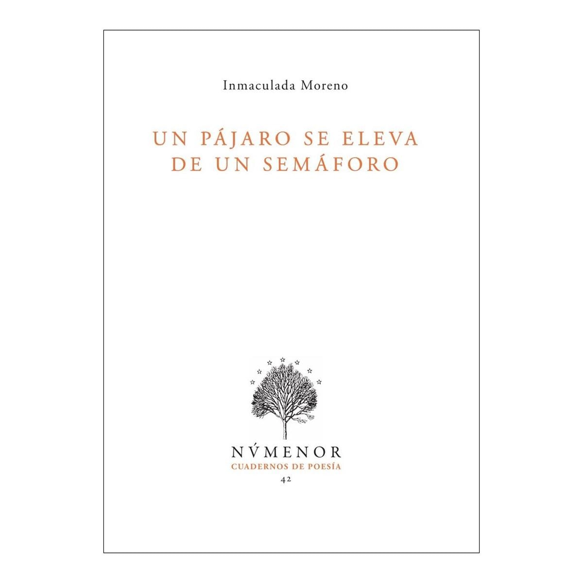 Un pájaro se eleva de un semáforo 1