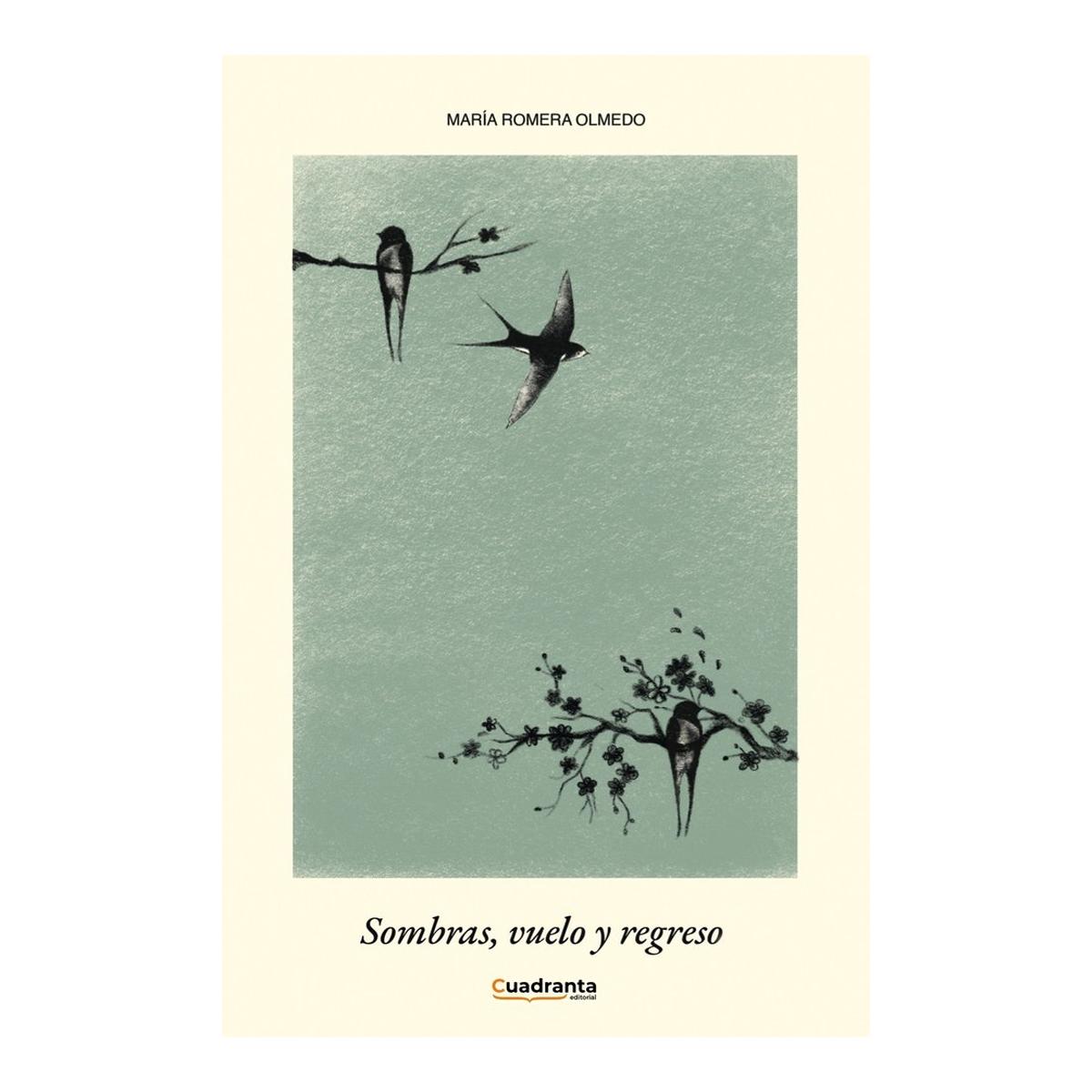 Sombras, vuelo y regreso 1