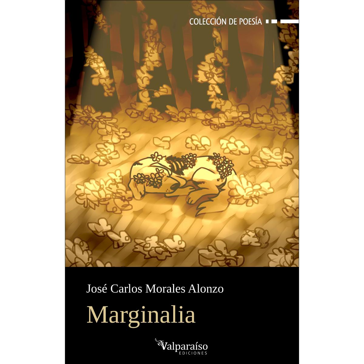 Marginalia (Capa mole com abas) 1