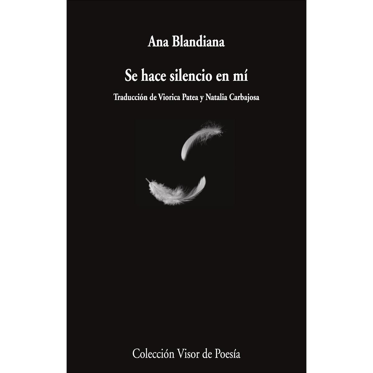 Se hace silencio en mí (Capa mole com abas) 1