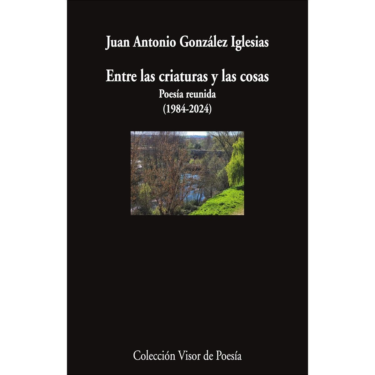 Entre las criaturas y las cosas: Poesía reunida (1984-2024) (Capa mole com abas) 1