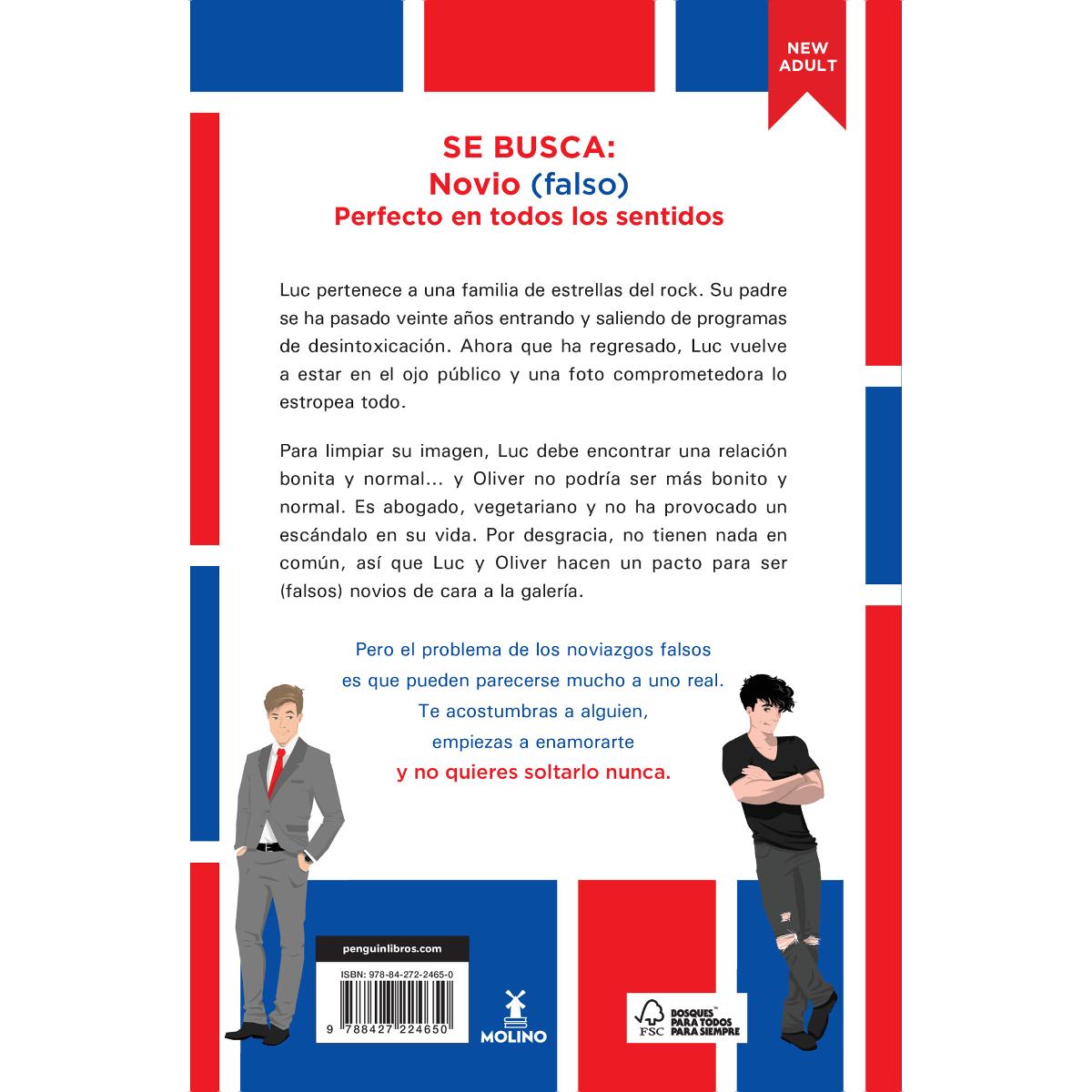 Se busca novio(Tapa blanda) 2