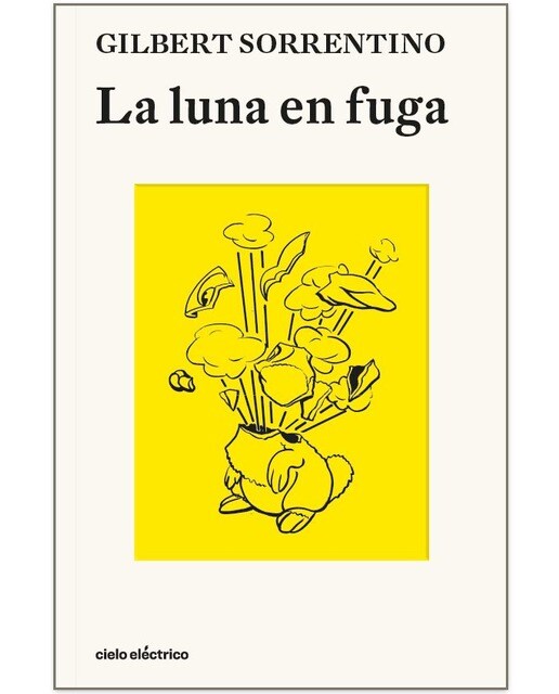 Imagen 0 de La luna en fuga